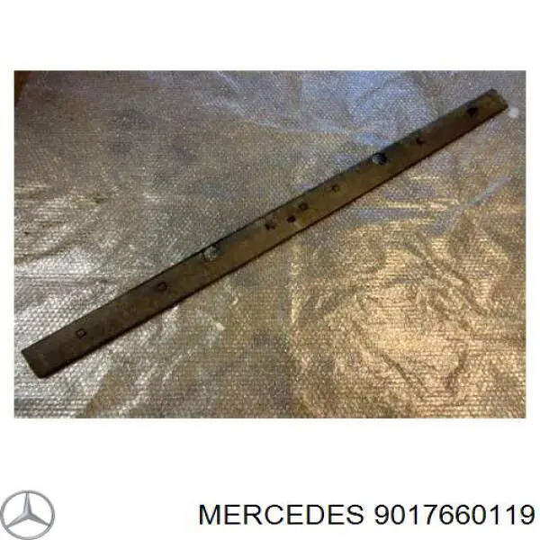 9017660119 Mercedes накладка задньої лівої двері, нижня