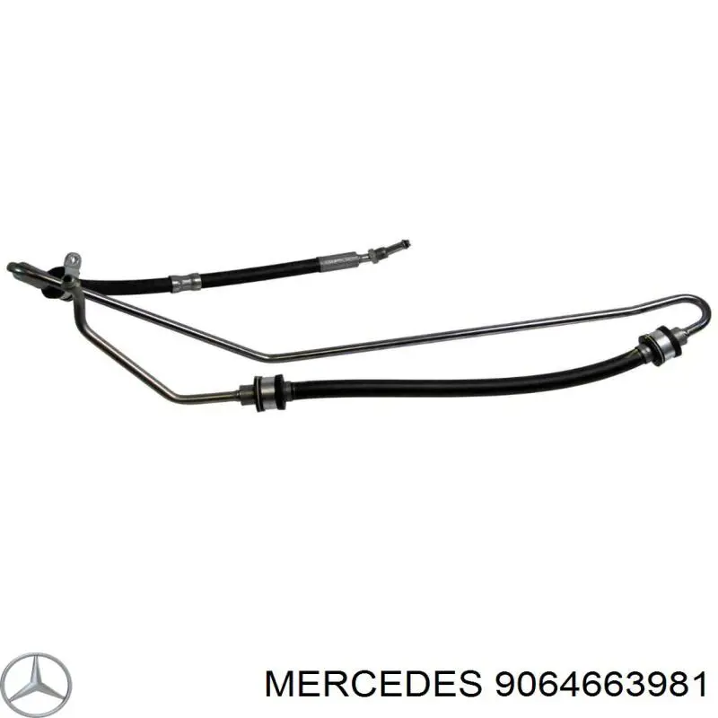 A9064663981 Mercedes Трубка високого тиску ГПК