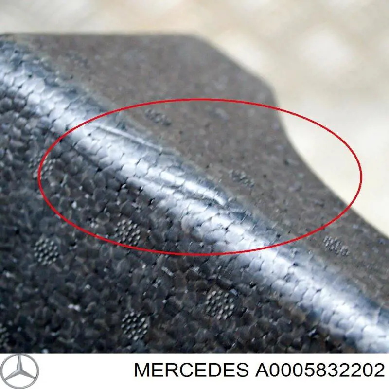 Купити A0005832202 Mercedes Пристосування для накачування шин