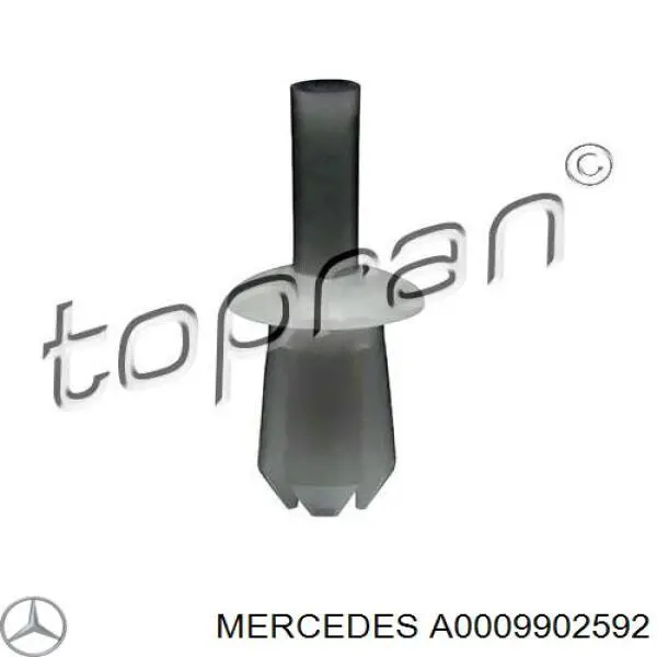  A0009902592 Mercedes