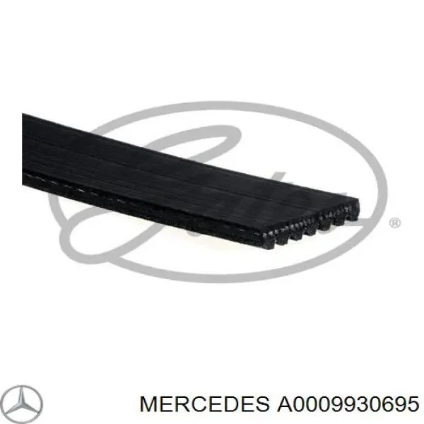 Клиновий ремінь Mercedes A0009930695 ціна, від 20.38 USD