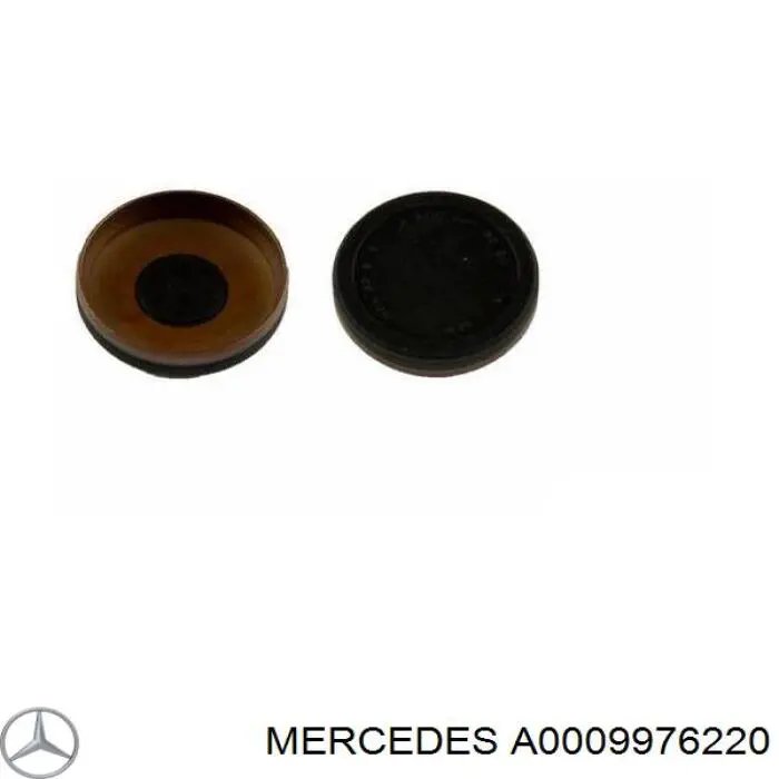 A0009976220 Mercedes Заглушка головки блока