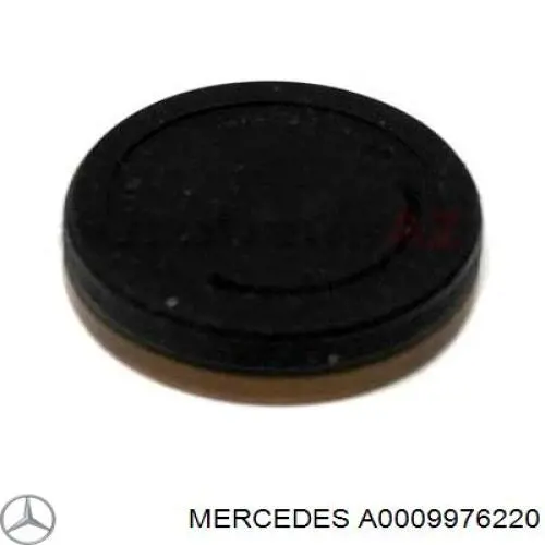 Заглушка ГБЦ/блоку циліндрів Mercedes A0009976220 ціна, від 4.95 USD