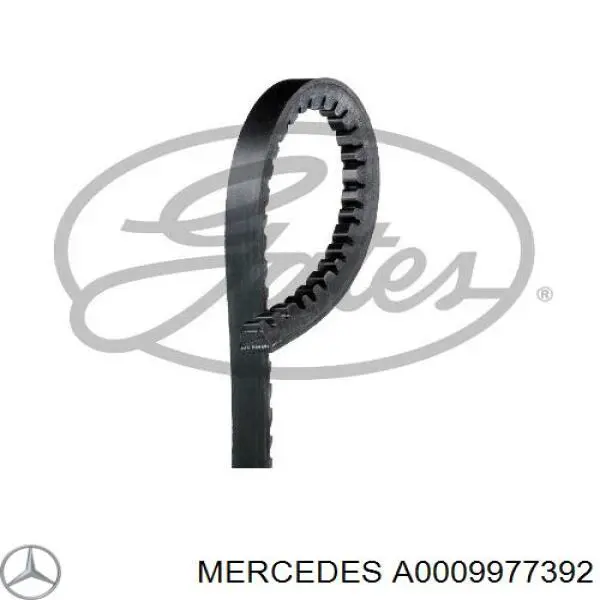 Ремінь приводний, агрегатів A0009977392 Mercedes