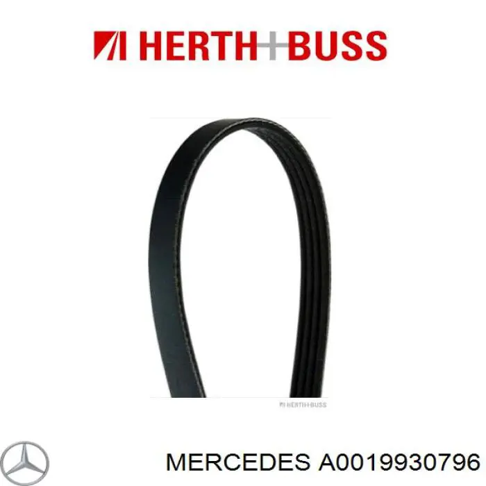 A0019930796 Mercedes Поліклиновий ремінь