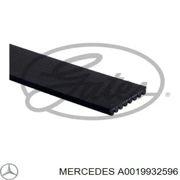 Клиновий ремінь Mercedes A0019932596 ціна, від 17.44 USD