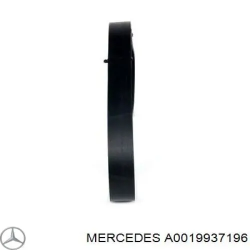 A0019937196 Mercedes Поліклиновий ремінь