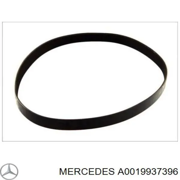 Клиновий ремінь Mercedes A0019937396 ціна, від 24.90 USD