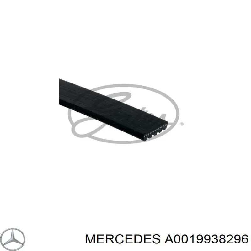 A0019938296 Mercedes Поліклиновий ремінь