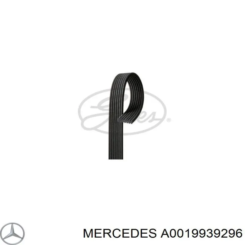 Клиновий ремінь Mercedes A0019939296 ціна, від 42.44 USD