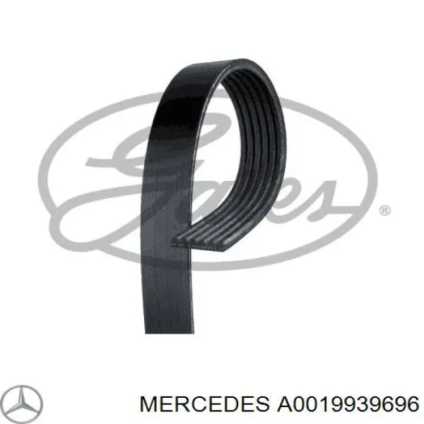 Купити A0019939696 Mercedes Ремінь генератора