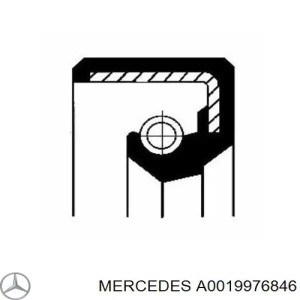 A0019976846 Mercedes Сальник ПНВТ
