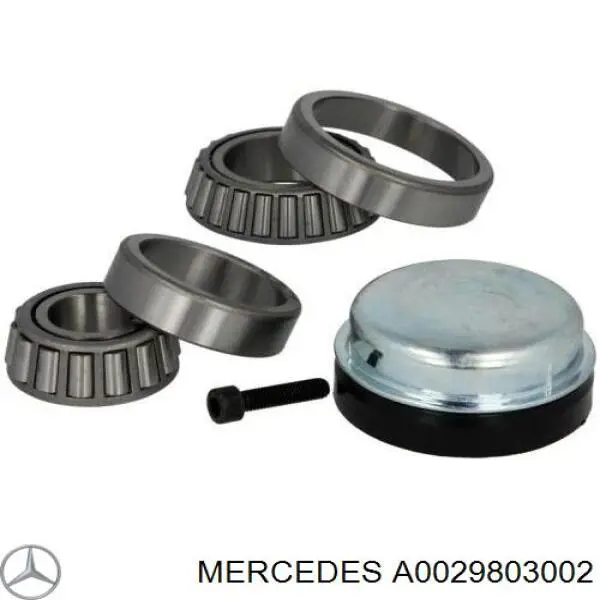  0029803002 Mercedes