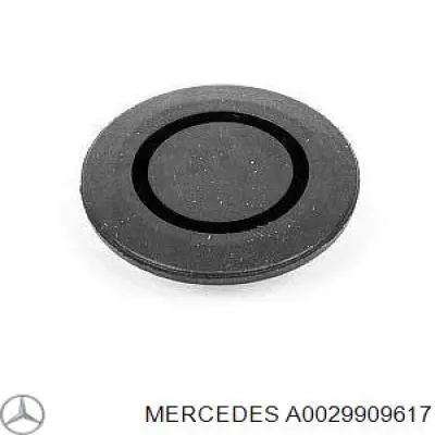 A0029909617 Mercedes 
