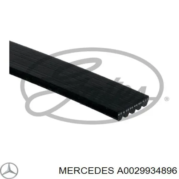 Купити A0029934896 Mercedes Ремінь генератора