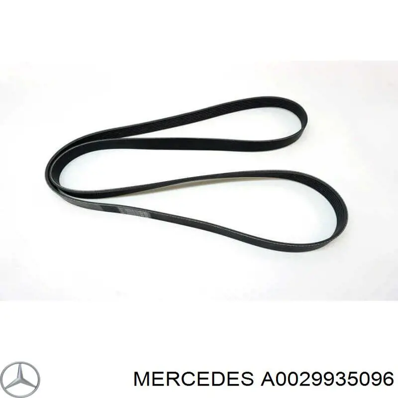 Купити A0029935096 Mercedes Ремінь генератора