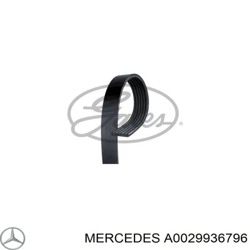 A0029936796 Mercedes Поліклиновий ремінь