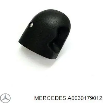 Купити A0030179012 Mercedes Розпилювач дизельної форсунки