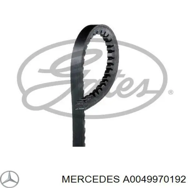 Ремінь приводний, агрегатів A0049970192 Mercedes