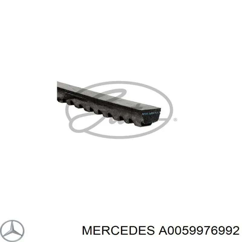 Клиновий ремінь Mercedes A0059976992 ціна, від 6.96 USD