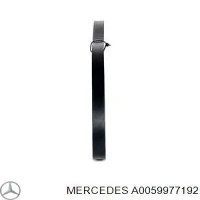 Клиновий ремінь Mercedes A0059977192 ціна, від 6.58 USD