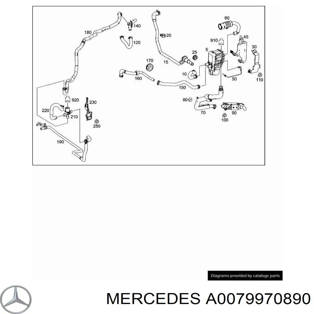  0079970890 Mercedes