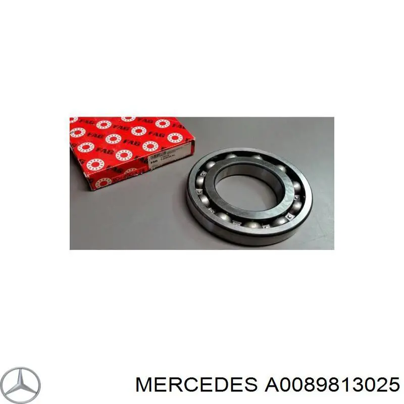  A0089813025 Mercedes