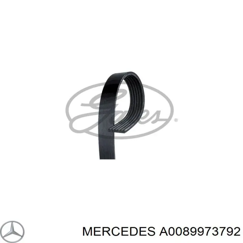 Клиновий ремінь Mercedes A0089973792 ціна, від 13.05 USD