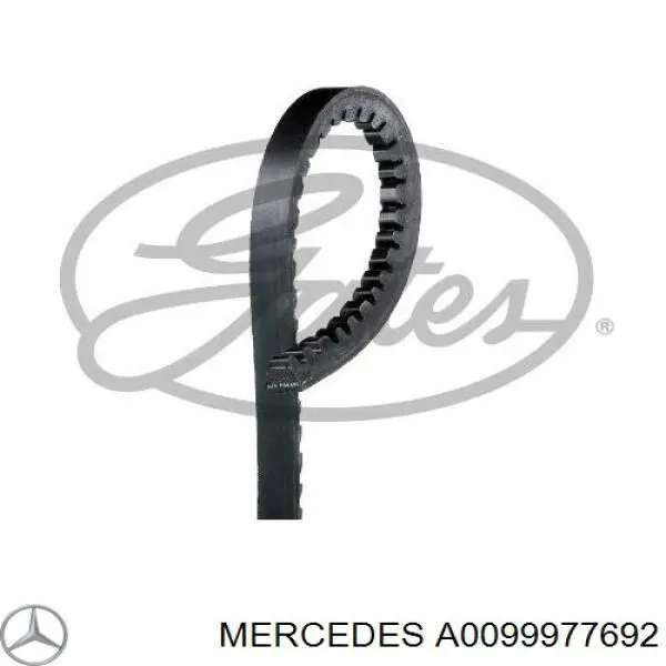 Ремінь приводний, агрегатів A0099977692 Mercedes