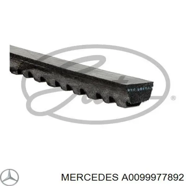 A0099977892 Mercedes ремінь приводний, агрегатів