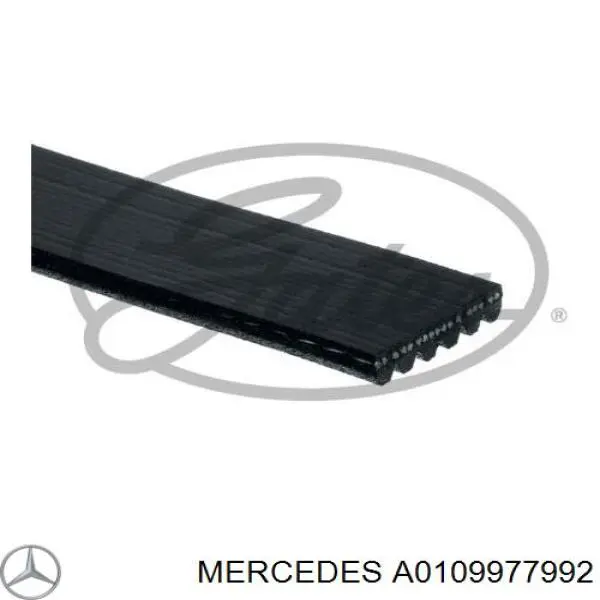 Клиновий ремінь Mercedes A0109977992 ціна, від 18.30 USD