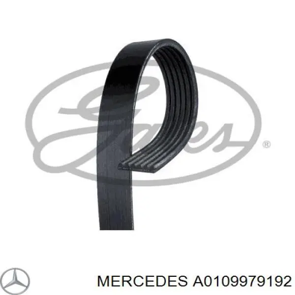Клиновий ремінь Mercedes A0109979192 ціна, від 20.88 USD