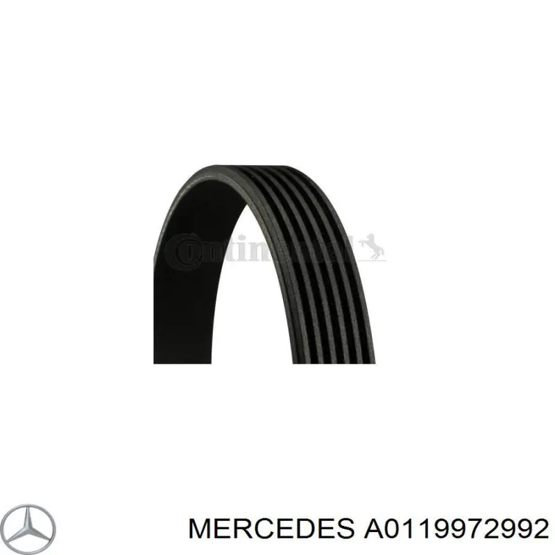 Купити A0119972992 Mercedes Ремінь генератора