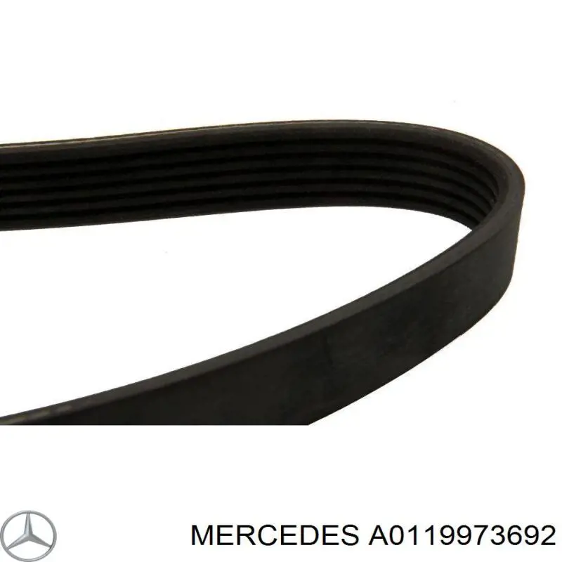 Купити A0119973692 Mercedes Ремінь генератора