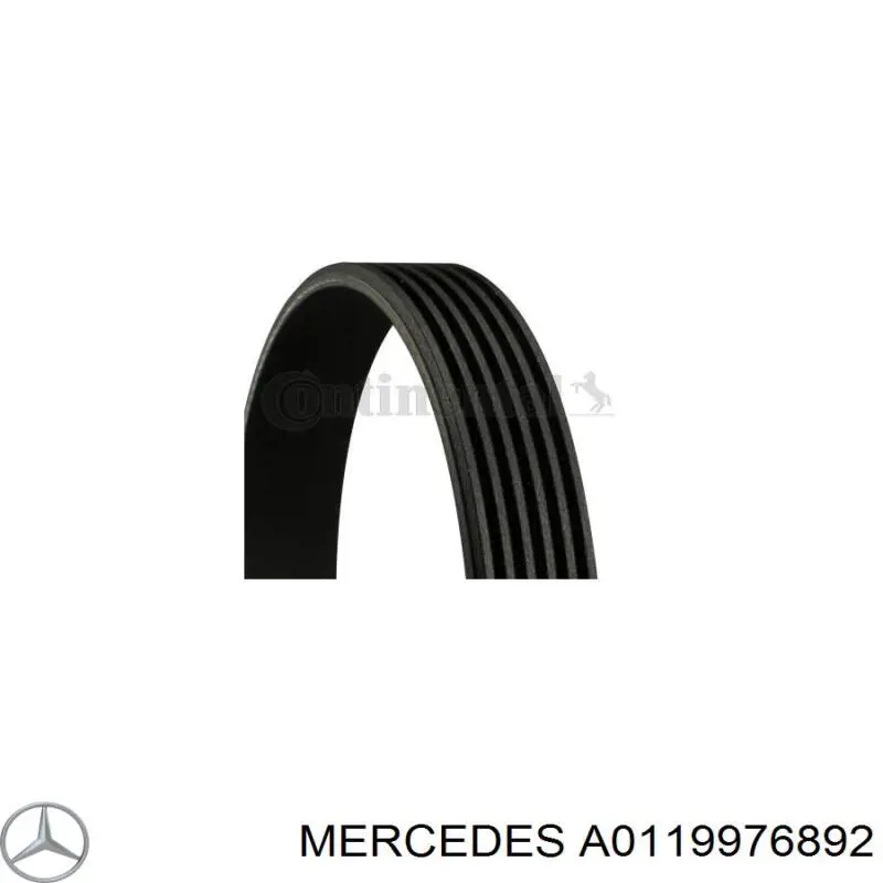 Купити A0119976892 Mercedes Ремінь генератора