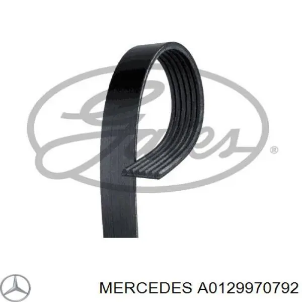 Ремінь приводний, агрегатів A0129970792 Mercedes