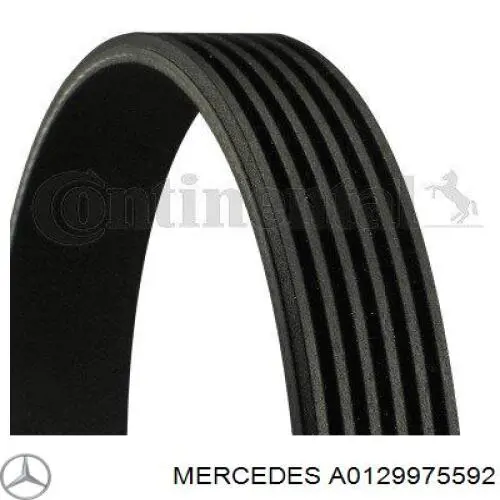 Ремінь приводний, агрегатів A0129975592 Mercedes