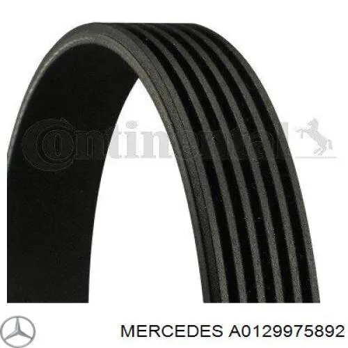 Клиновий ремінь Mercedes A0129975892 ціна, від 16.47 USD
