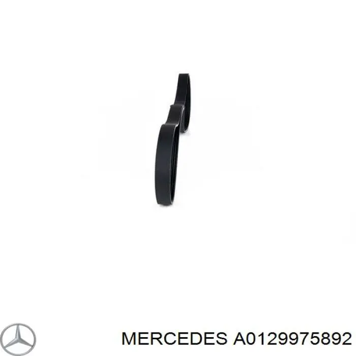 Купити A0129975892 Mercedes Ремінь генератора