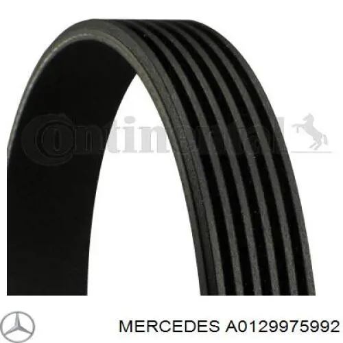 Купити A0129975992 Mercedes Ремінь генератора