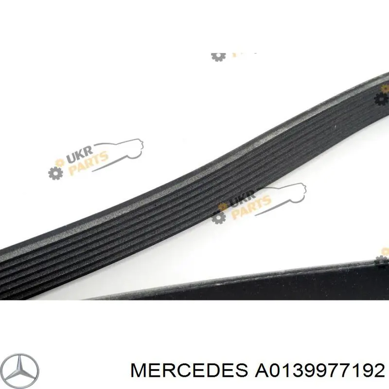 A0139977192 Mercedes Поліклиновий ремінь