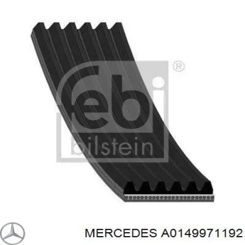 Купити A0149971192 Mercedes Ремінь генератора