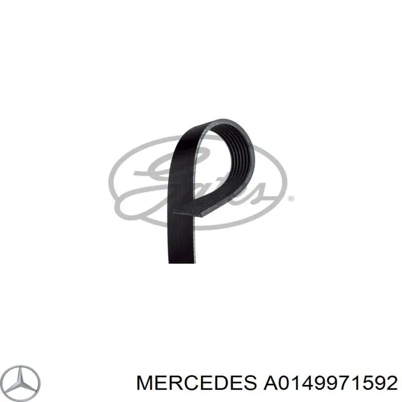 A0149971592 Mercedes ремінь приводний, агрегатів