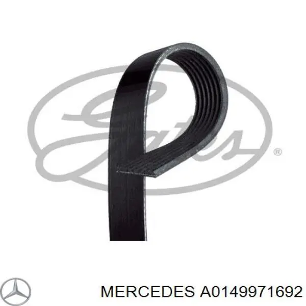 A0149971692 Mercedes ремінь приводний, агрегатів