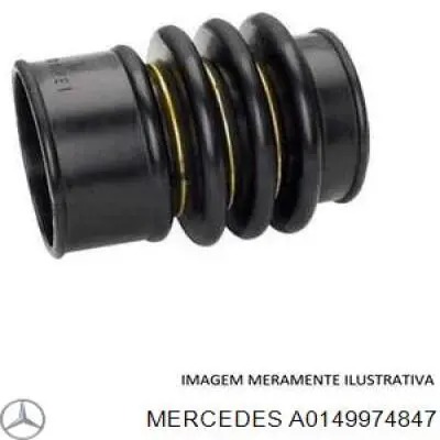  12001920 Corteco