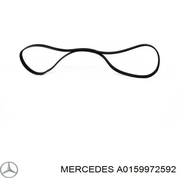 Купити A0159972592 Mercedes Ремінь генератора