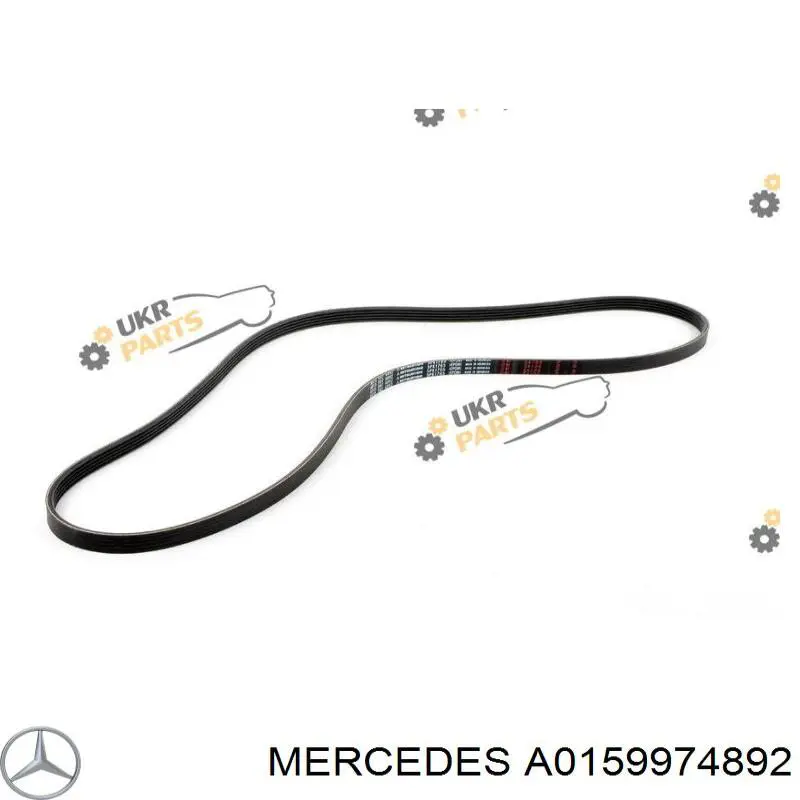 Купити A0159974892 Mercedes Ремінь генератора
