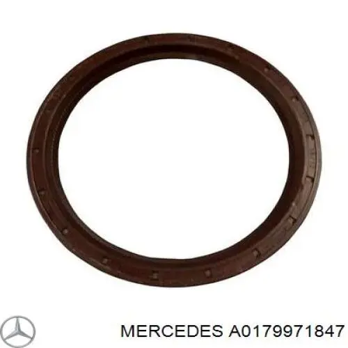 Сальник АКПП/КПП, вхідного/первинного валу A0179971847 Mercedes
