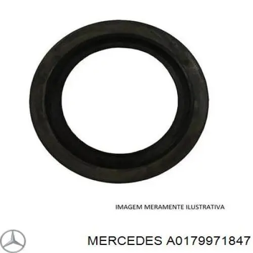 A0179971847 Mercedes Сальник АКПП/КПП, вхідного/первинного вала