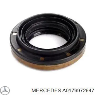A0179972847 Mercedes Сальник редуктора заднього моста